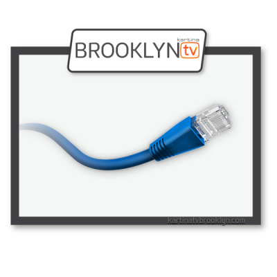 Internet Cable (Network Cable), 50 ft