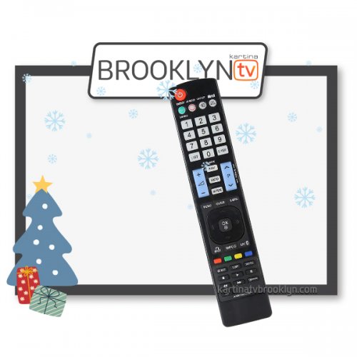 https://kartinatvbrooklyn.com/image/cache/catalog/products/2024-new-year/tv-remote-control-lg-en-500x500.jpg