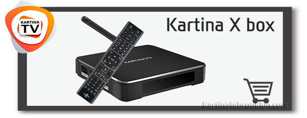 kartina tv in brooklyn